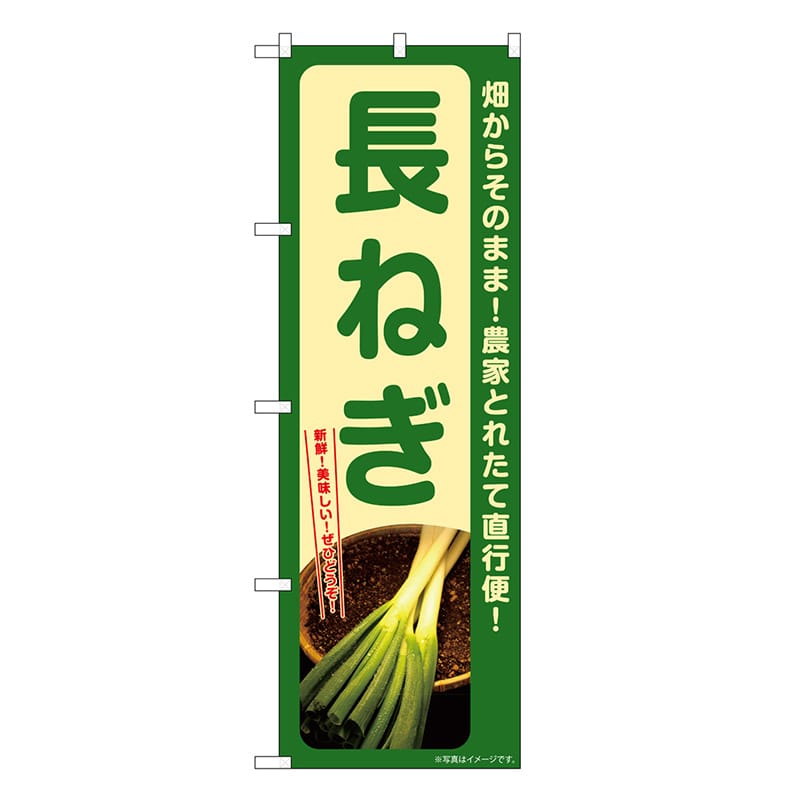 P・O・Pプロダクツ のぼり 長ねぎ SNBー7307 1枚（ご注文単位1枚）【直送品】