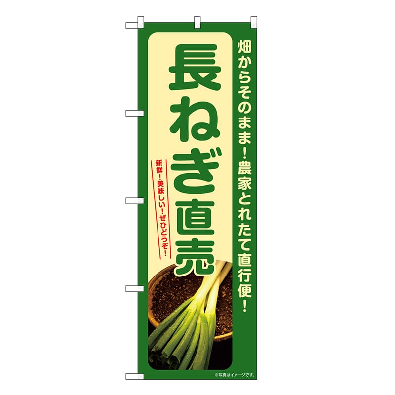 P・O・Pプロダクツ のぼり 長ねぎ直売 SNB-7308 1枚（ご注文単位1枚）【直送品】
