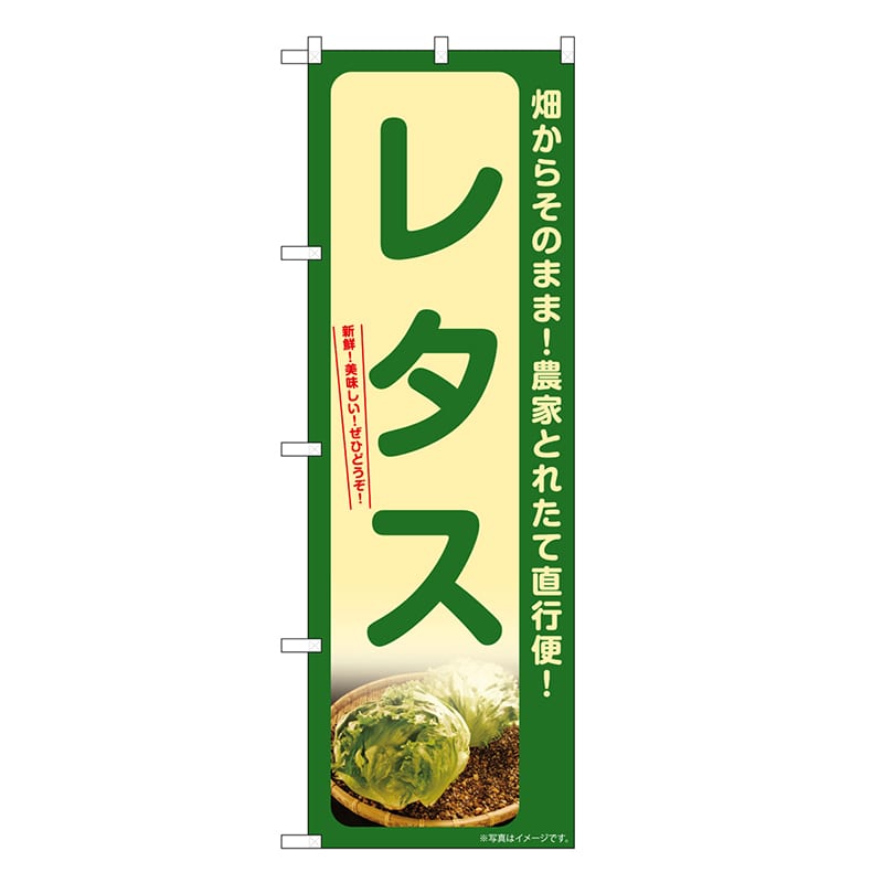 P・O・Pプロダクツ のぼり レタス SNB-7311 1枚（ご注文単位1枚）【直送品】