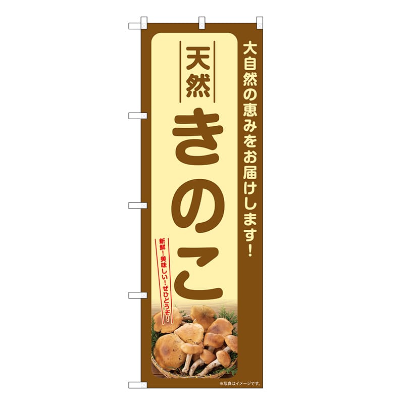P・O・Pプロダクツ のぼり 天然きのこ SNB-7331 1枚（ご注文単位1枚）【直送品】
