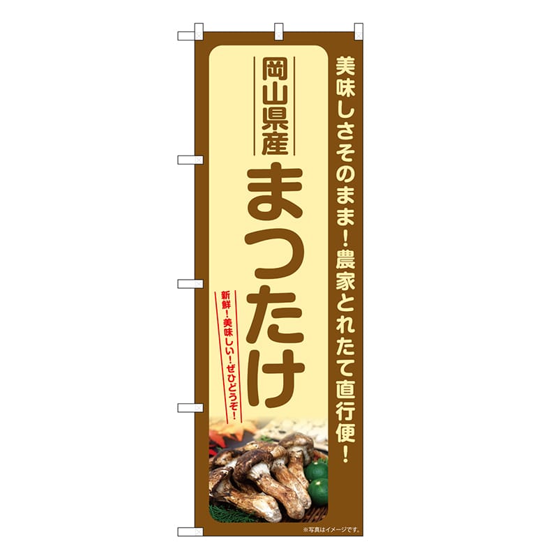 P・O・Pプロダクツ のぼり まつたけ 岡山県産 SNB-7345 1枚（ご注文単位1枚）【直送品】