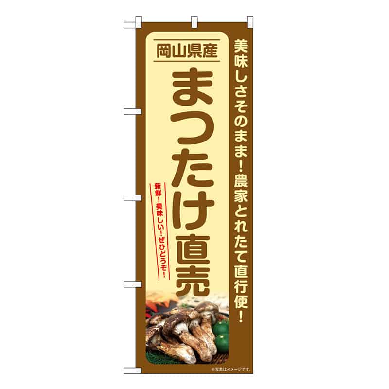 P・O・Pプロダクツ のぼり まつたけ直売 岡山県産 SNB-7353 1枚（ご注文単位1枚）【直送品】