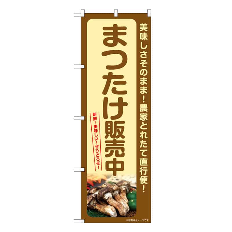 P・O・Pプロダクツ のぼり まつたけ販売中 SNB-7360 1枚（ご注文単位1枚）【直送品】