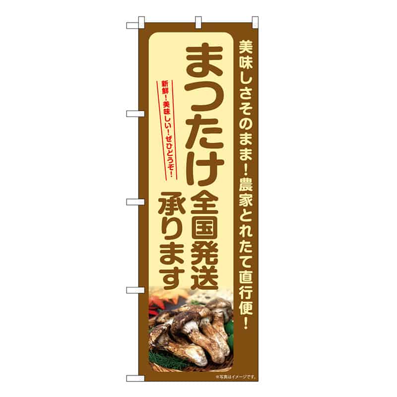 P・O・Pプロダクツ のぼり まつたけ 全国発送承ります SNB-7362 1枚（ご注文単位1枚）【直送品】