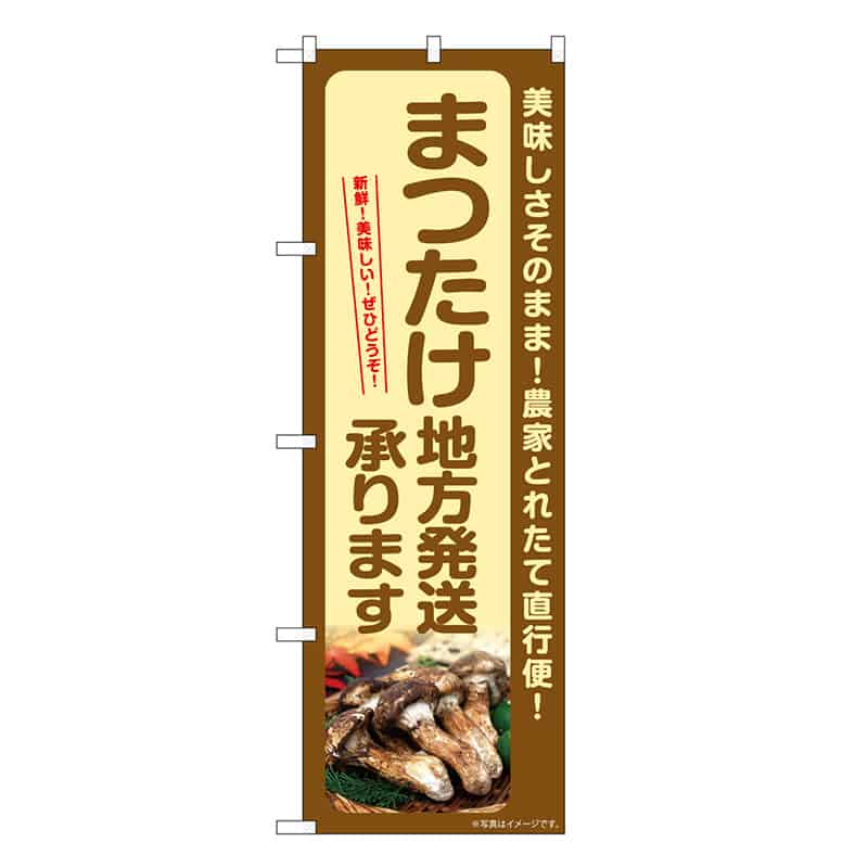 P・O・Pプロダクツ のぼり まつたけ 地方発送承ります SNB-7364 1枚（ご注文単位1枚）【直送品】