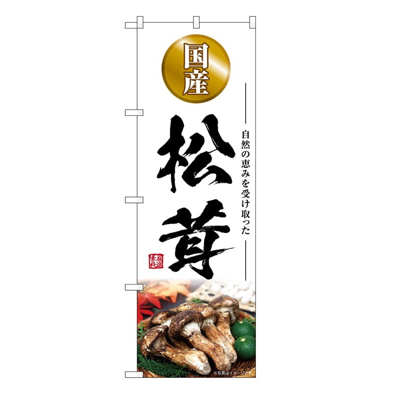 P・O・Pプロダクツ のぼり 松茸 国産 SNB-7429 1枚（ご注文単位1枚）【直送品】