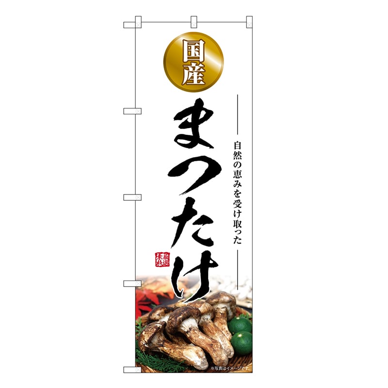 P・O・Pプロダクツ のぼり まつたけ 国産 SNB-7430 1枚（ご注文単位1枚）【直送品】
