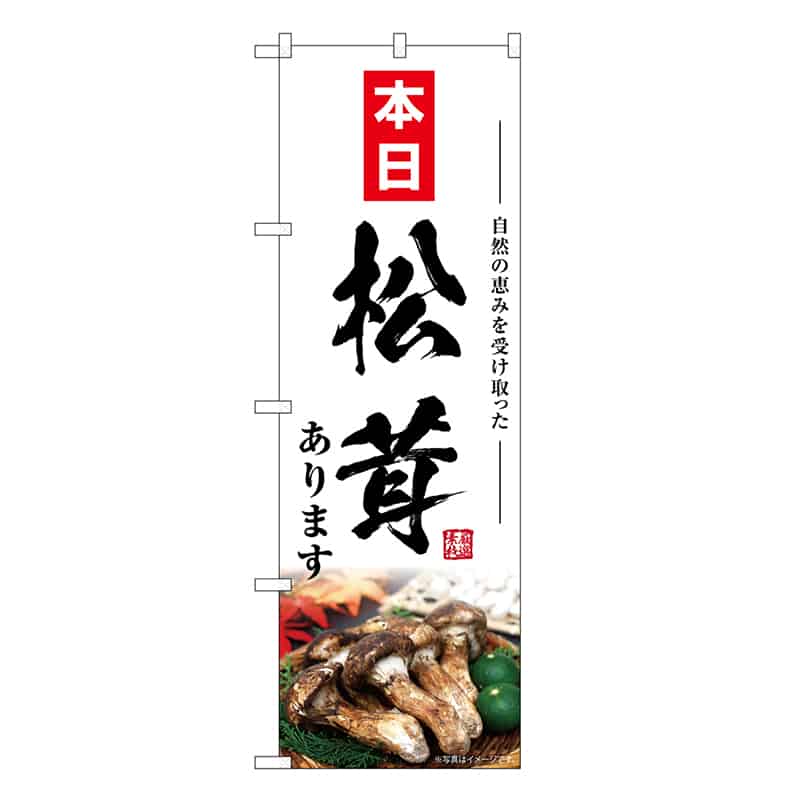 P・O・Pプロダクツ のぼり 松茸あります 本日 SNB-7437 1枚（ご注文単位1枚）【直送品】