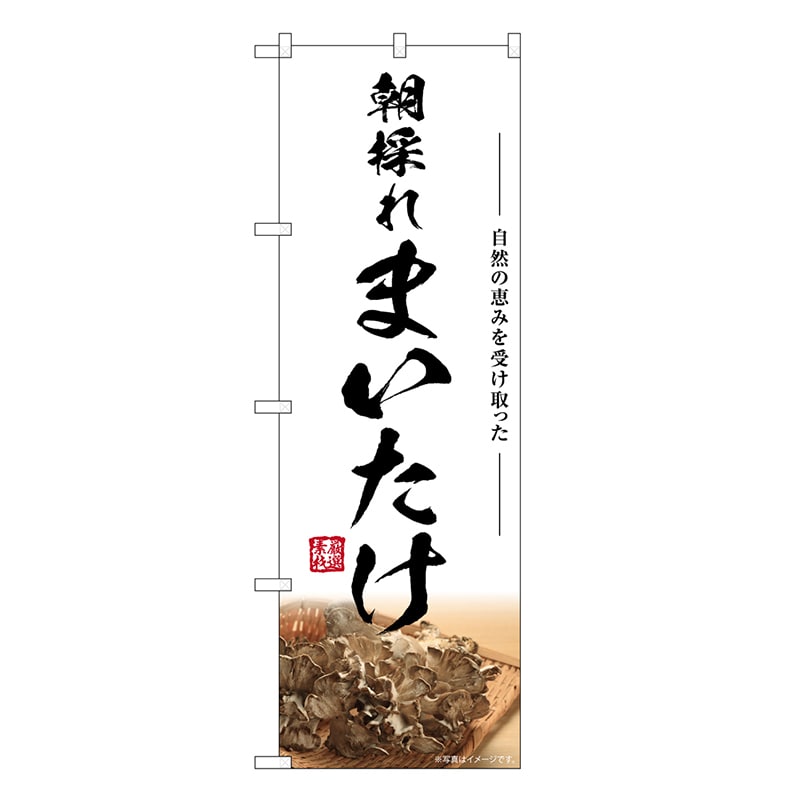 P・O・Pプロダクツ のぼり まいたけ 朝採れ SNB-7450 1枚（ご注文単位1枚）【直送品】