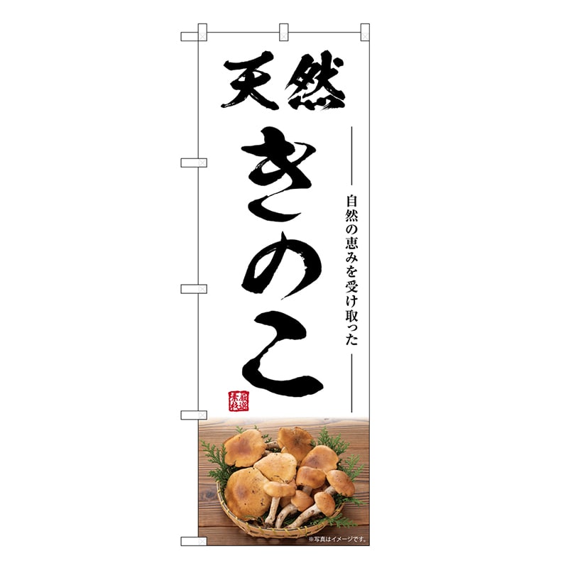 P・O・Pプロダクツ のぼり 天然きのこ SNB-7480 1枚（ご注文単位1枚）【直送品】