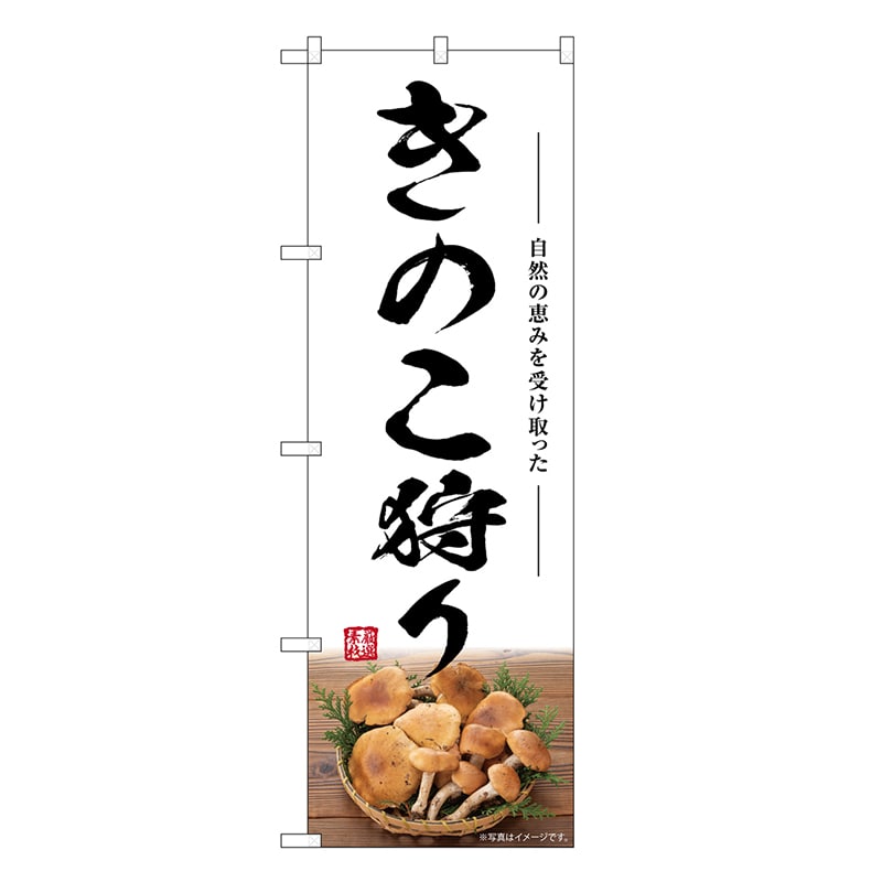 P・O・Pプロダクツ のぼり きのこ狩り SNB-7484 1枚（ご注文単位1枚）【直送品】