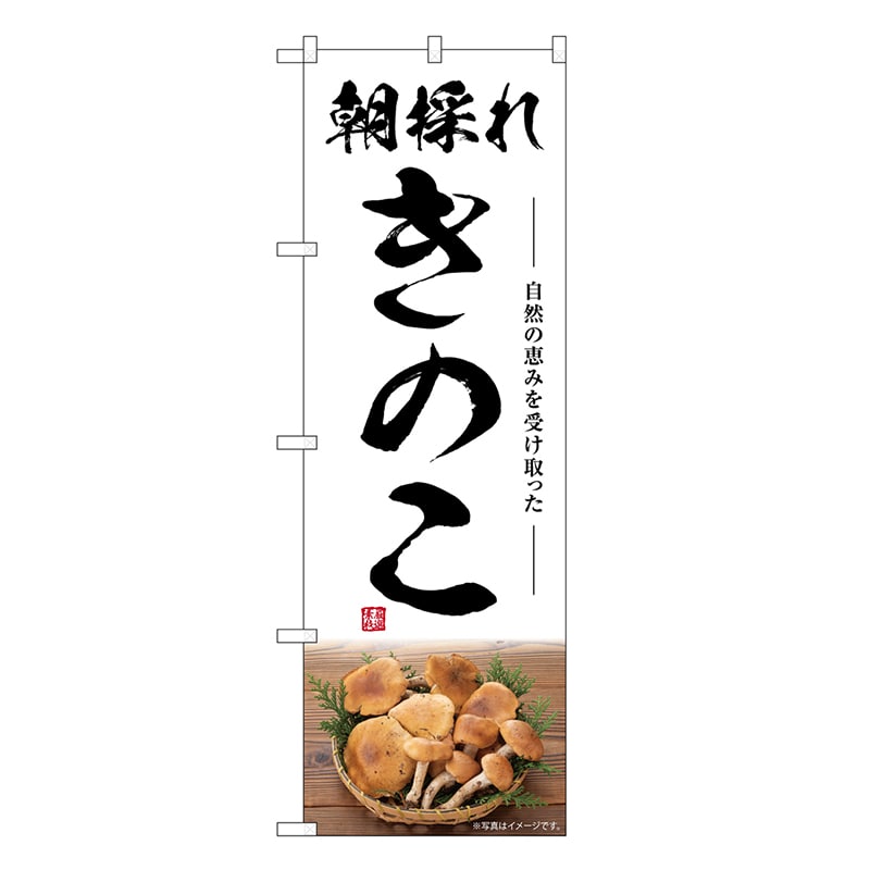 P・O・Pプロダクツ のぼり きのこ 朝採れ SNB-7485 1枚（ご注文単位1枚）【直送品】