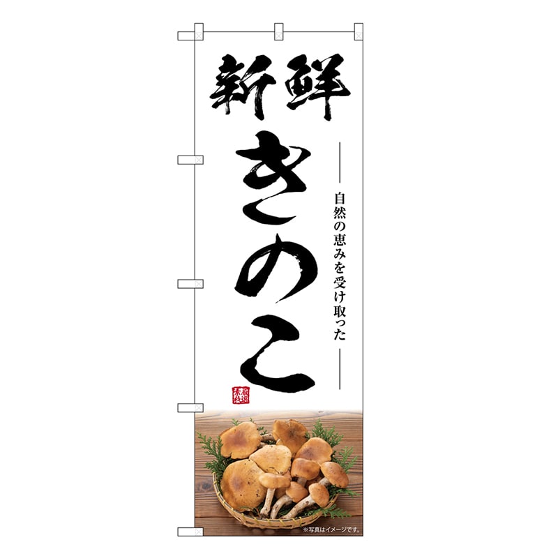 P・O・Pプロダクツ のぼり きのこ 新鮮 SNB-7486 1枚（ご注文単位1枚）【直送品】