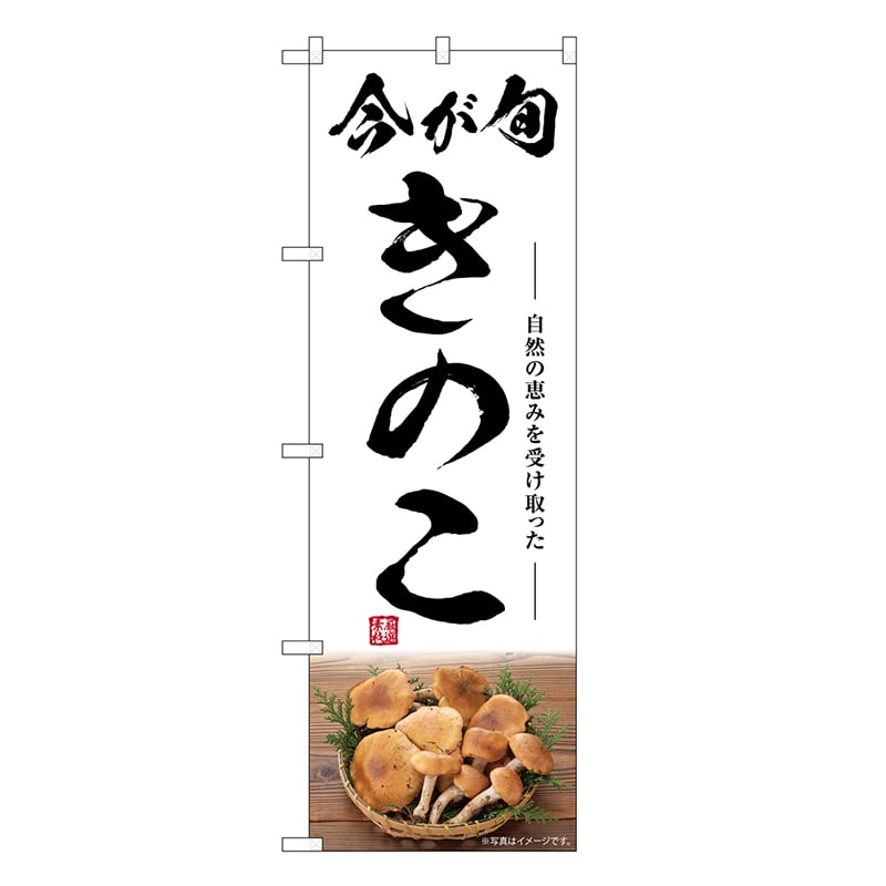 P・O・Pプロダクツ のぼり きのこ 今が旬 SNB-7487 1枚（ご注文単位1枚）【直送品】