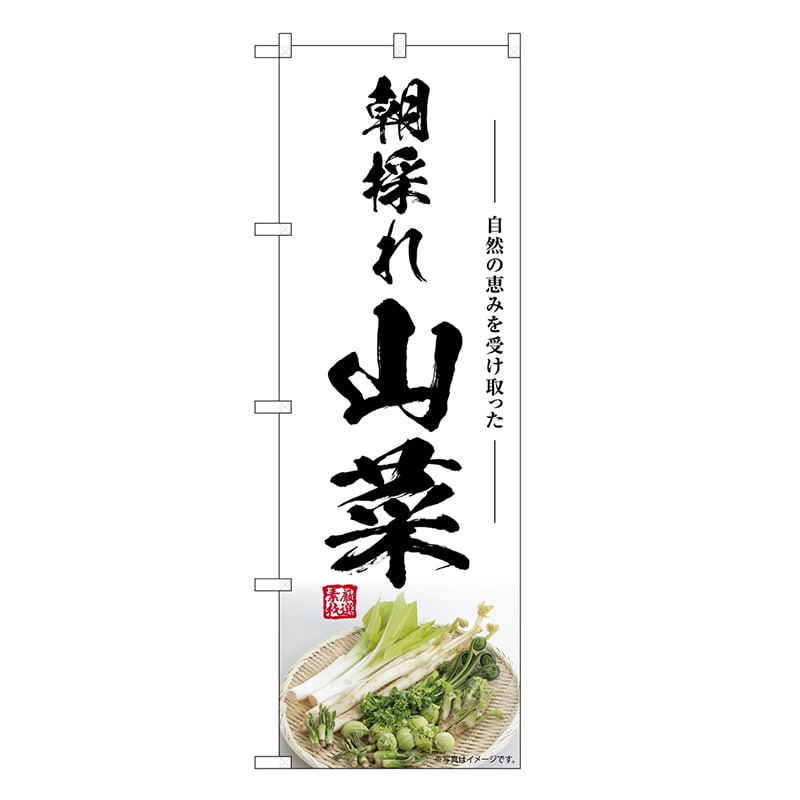 P・O・Pプロダクツ のぼり 山菜 朝採れ SNB-7499 1枚（ご注文単位1枚）【直送品】