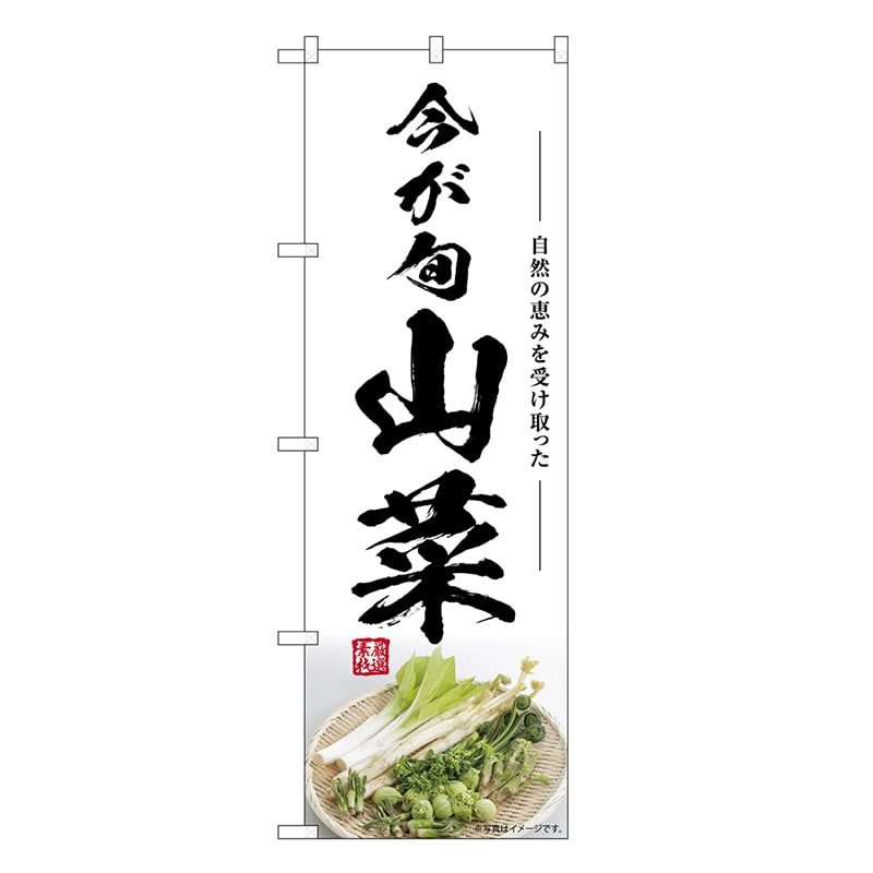 P・O・Pプロダクツ のぼり 山菜 今が旬 SNB-7500 1枚（ご注文単位1枚）【直送品】