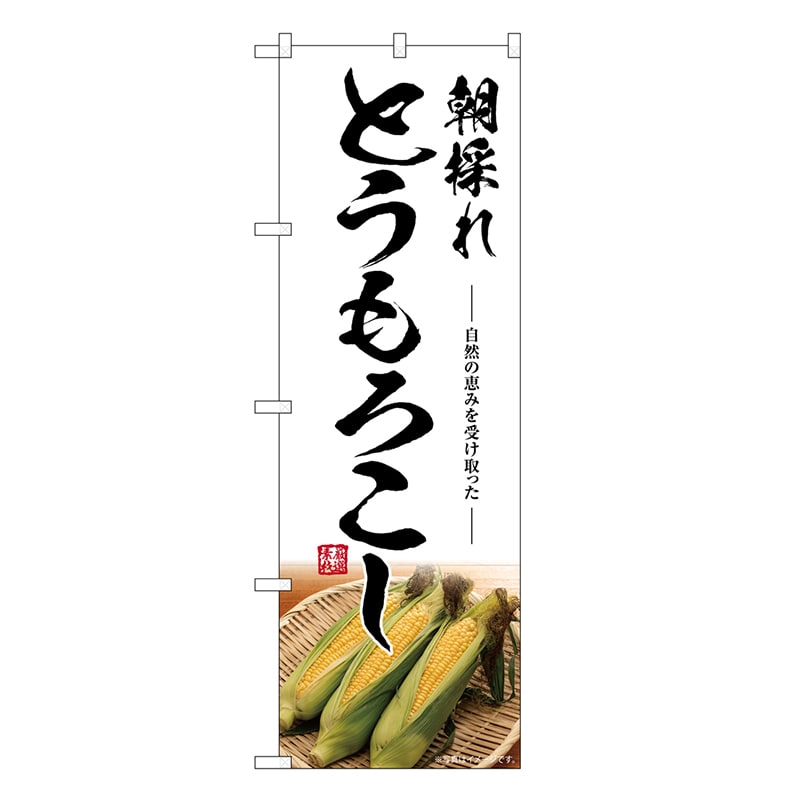 P・O・Pプロダクツ のぼり とうもろこし 朝採れ SNB-7516 1枚（ご注文単位1枚）【直送品】