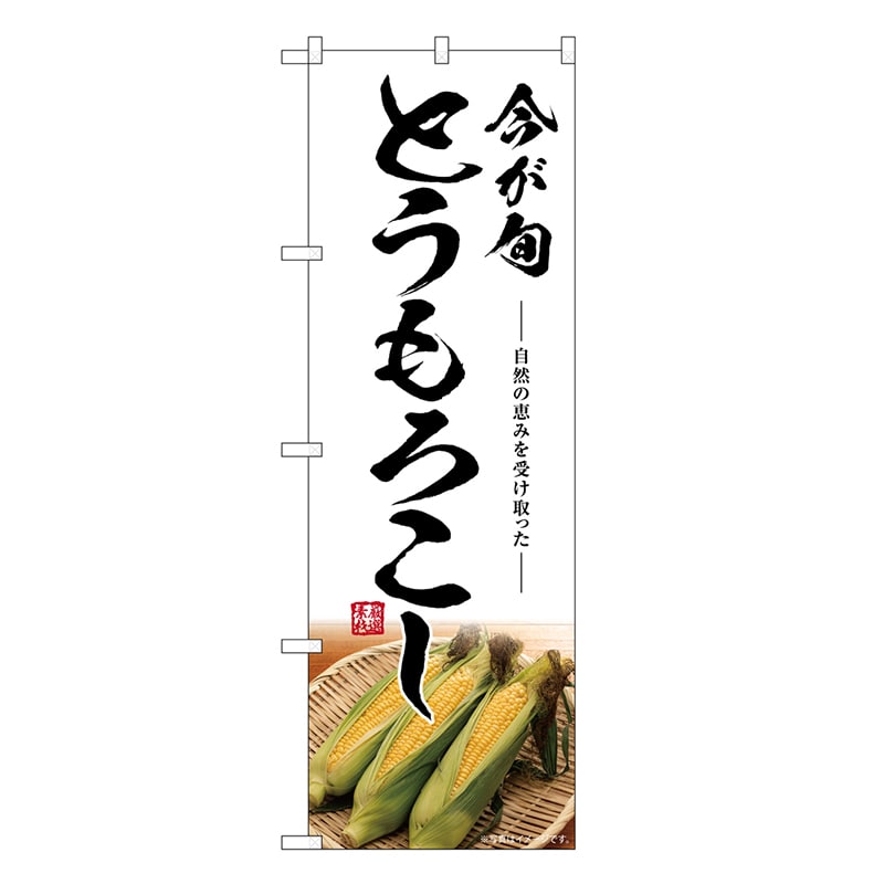 P・O・Pプロダクツ のぼり とうもろこし 今が旬 SNB-7519 1枚（ご注文単位1枚）【直送品】