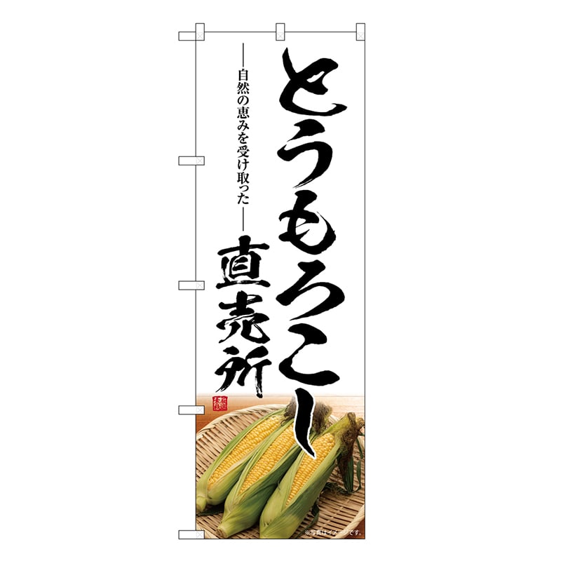 P・O・Pプロダクツ のぼり とうもろこし直売所 SNB-7521 1枚（ご注文単位1枚）【直送品】