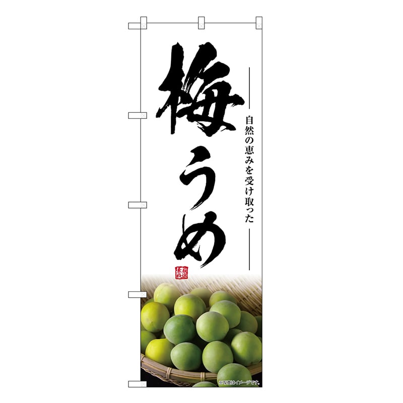 P・O・Pプロダクツ のぼり 梅 うめ SNB-7869 1枚（ご注文単位1枚）【直送品】