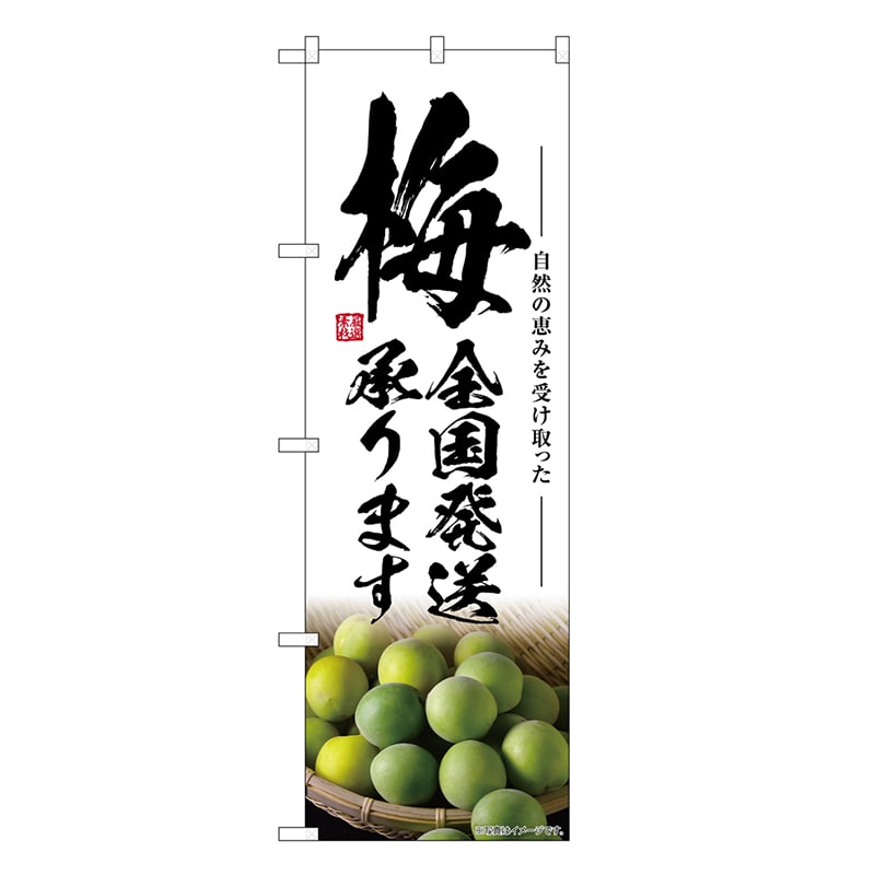 P・O・Pプロダクツ のぼり 梅全国発送承ります SNB-7871 1枚（ご注文単位1枚）【直送品】