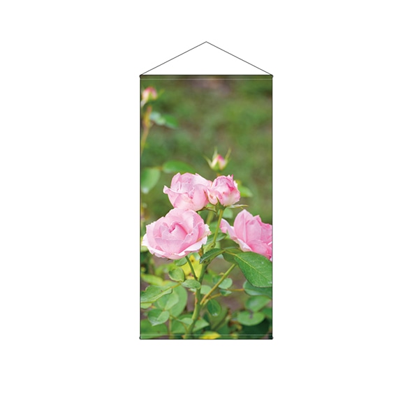 P・O・Pプロダクツ 防炎タペストリー 44543 バラ写真のみ 1枚(ご注文単位1枚)【直送品】