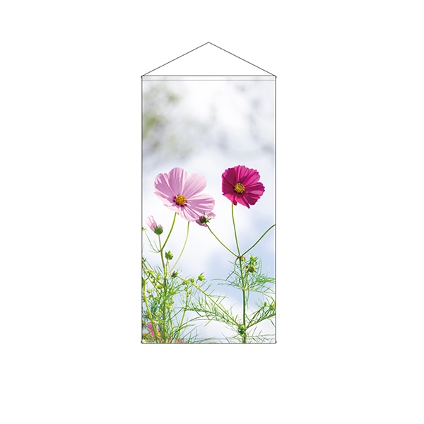 P・O・Pプロダクツ 防炎タペストリー 44544 コスモス写真のみ 1枚(ご注文単位1枚)【直送品】