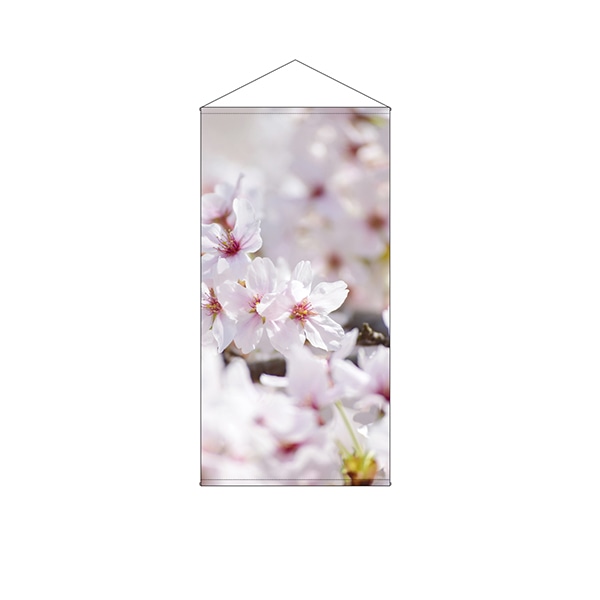 P・O・Pプロダクツ 防炎タペストリー 44545 桜写真のみ 1枚(ご注文単位1枚)【直送品】
