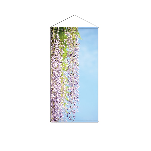 P・O・Pプロダクツ 防炎タペストリー 44546 藤写真のみ 1枚(ご注文単位1枚)【直送品】