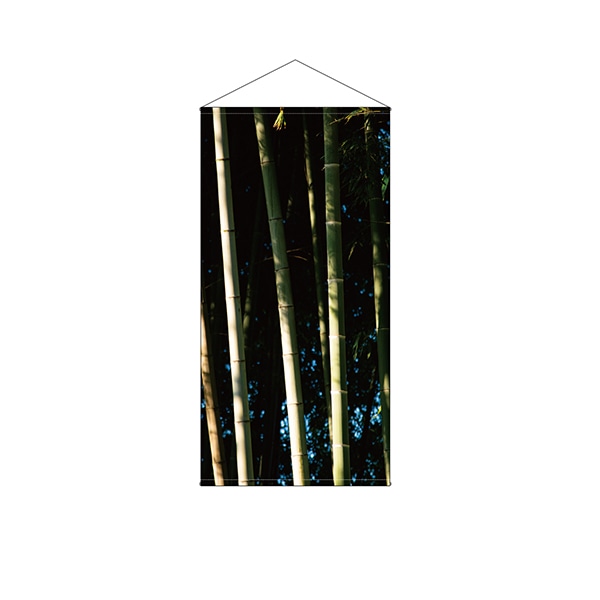 P・O・Pプロダクツ 防炎タペストリー 44549 竹写真のみ 1枚(ご注文単位1枚)【直送品】