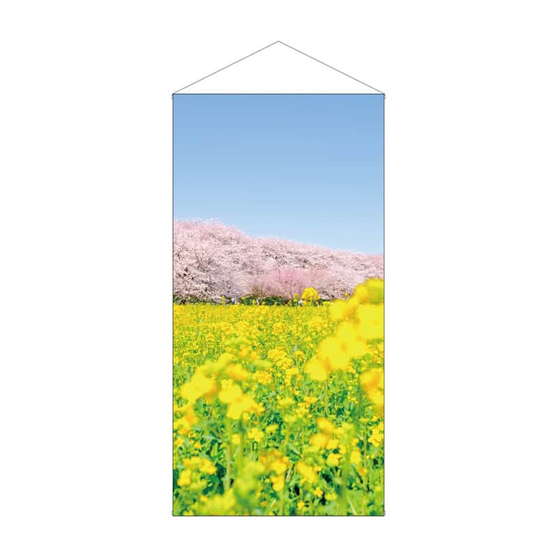 P・O・Pプロダクツ 防炎タペストリー 春 桜と菜の花 55288 1枚（ご注文単位1枚）【直送品】