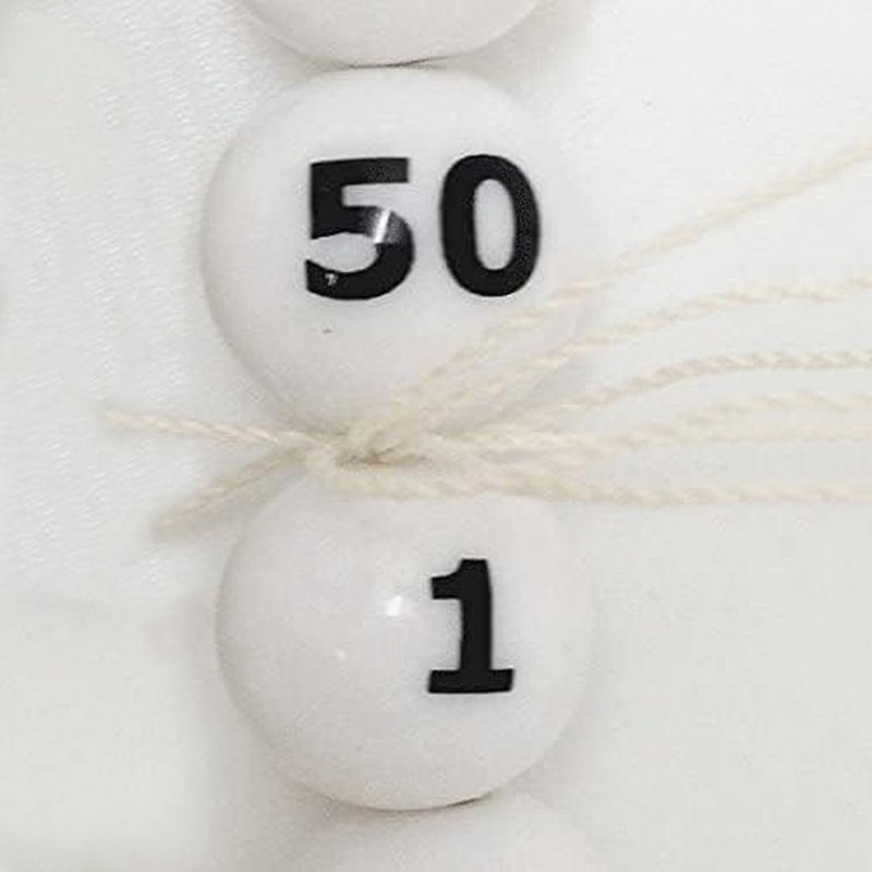 P・O・Pプロダクツ ガラポン抽選器 番号入抽選球 50球 1～50 58487 1個（ご注文単位1個）【直送品】