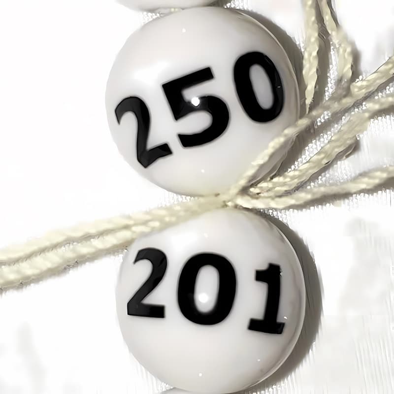 P・O・Pプロダクツ ガラポン抽選器 番号入抽選球 50球 201～250 58491 1個（ご注文単位1個）【直送品】