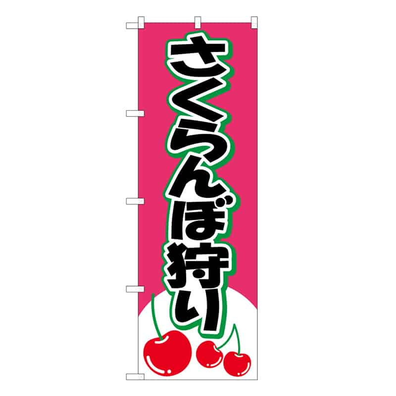 さくらんぼ狩りB