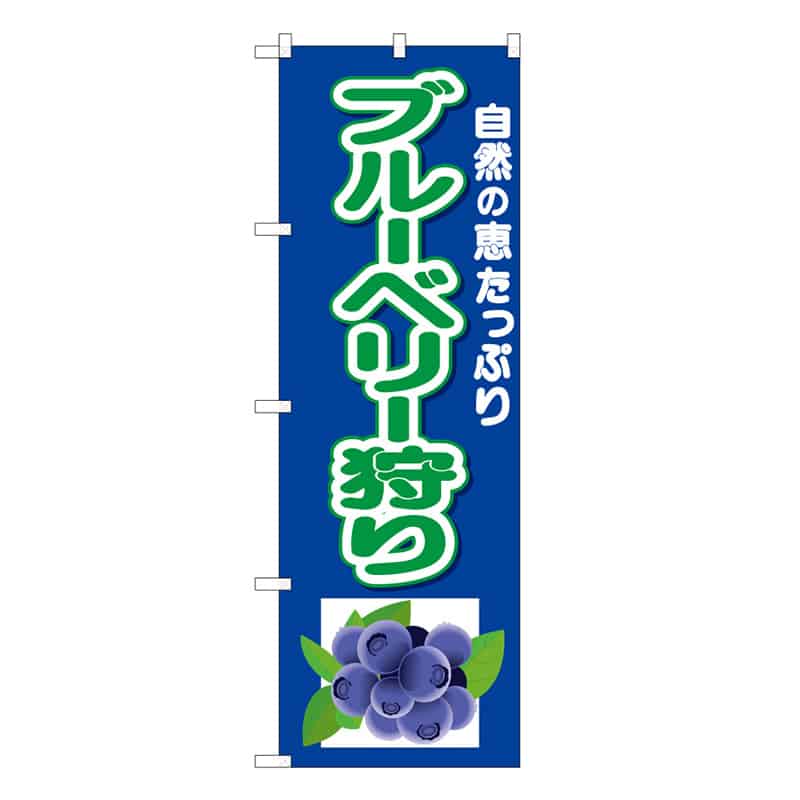 P・O・Pプロダクツ のぼり ブルーベリー狩り 自然の恵みたっぷり B 58888 1枚（ご注文単位1枚）【直送品】