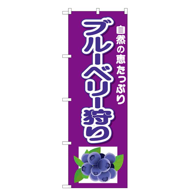 P・O・Pプロダクツ のぼり ブルーベリー狩り 自然の恵みたっぷり C 58889 1枚（ご注文単位1枚）【直送品】