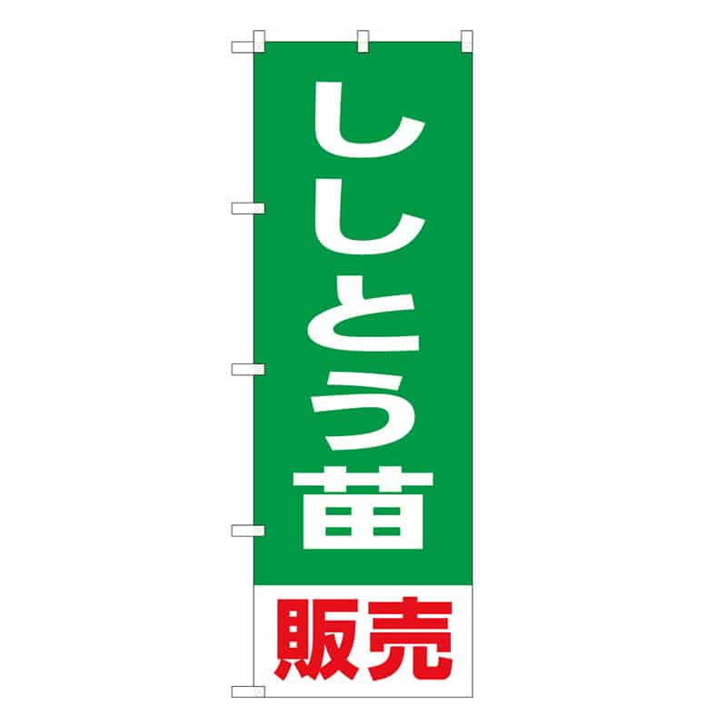 P・O・Pプロダクツ のぼり ししとう苗販売 58911 1枚（ご注文単位1枚）【直送品】