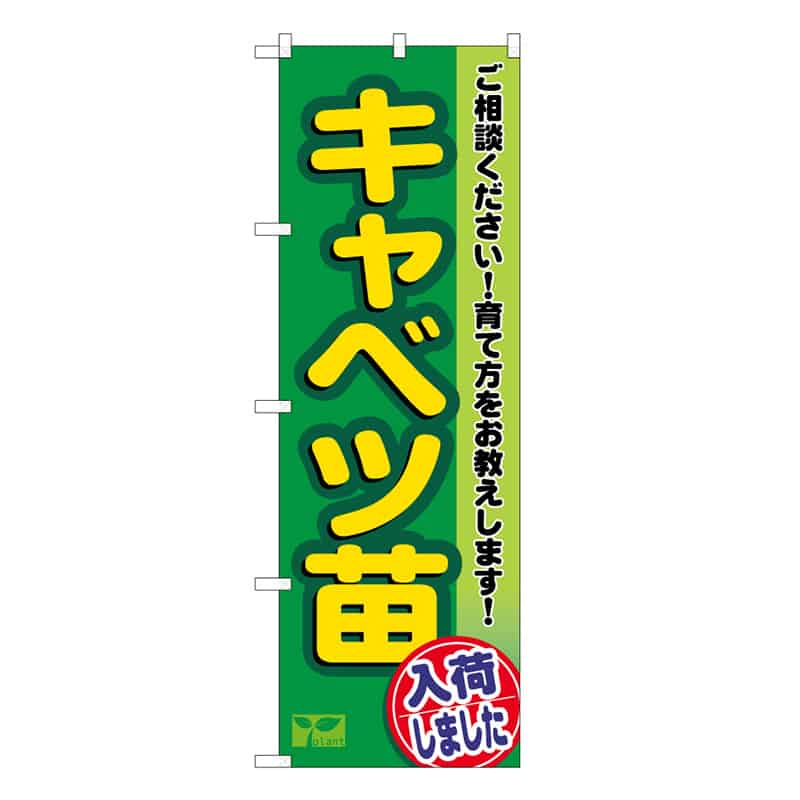 P・O・Pプロダクツ のぼり キャベツ苗入荷しました 58951 1枚（ご注文単位1枚）【直送品】