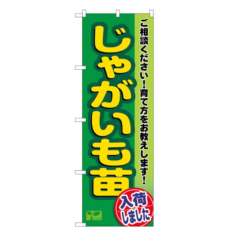 P・O・Pプロダクツ のぼり じゃがいも苗入荷しました 58952 1枚（ご注文単位1枚）【直送品】
