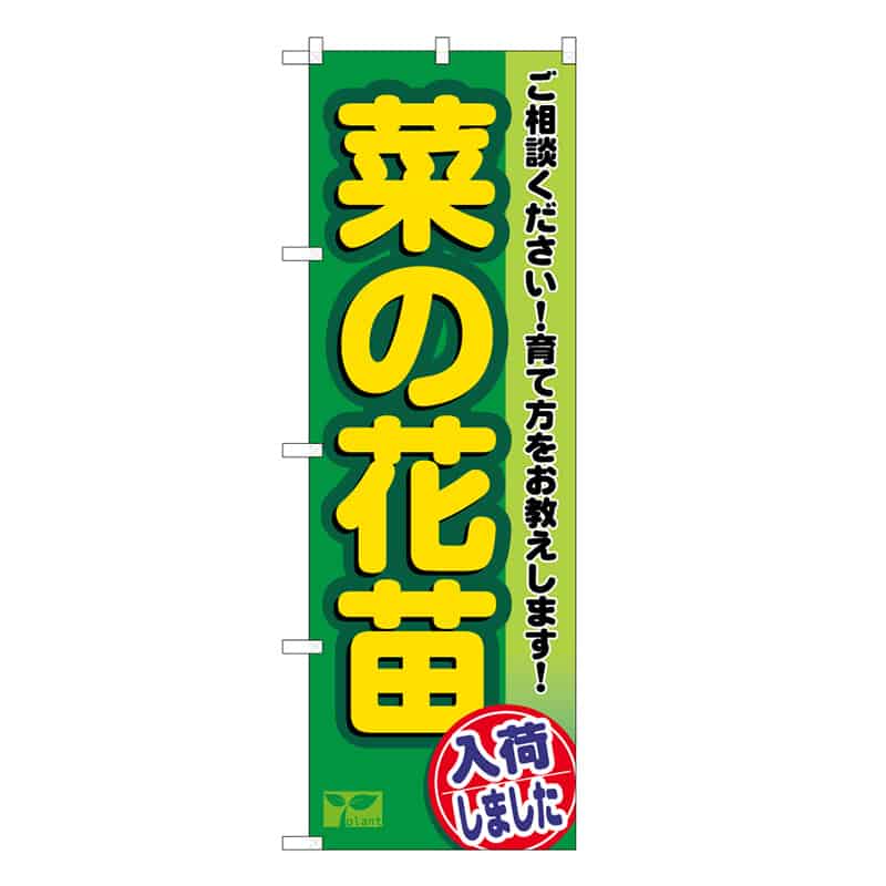 P・O・Pプロダクツ のぼり 菜の花苗入荷しました 58954 1枚（ご注文単位1枚）【直送品】