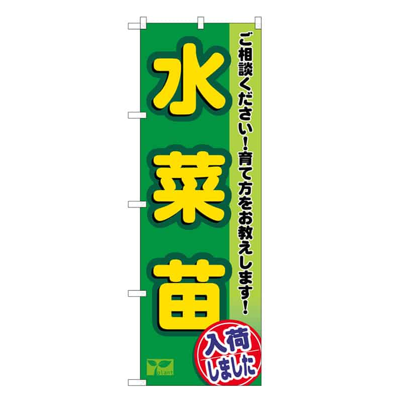 P・O・Pプロダクツ のぼり 水菜苗入荷しました 58955 1枚（ご注文単位1枚）【直送品】