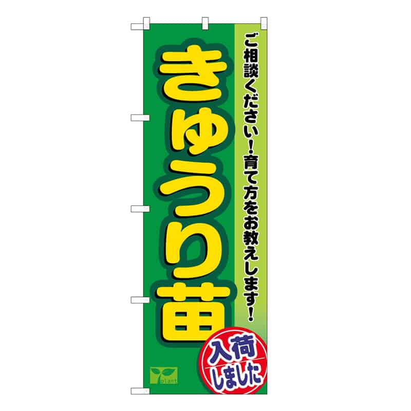 P・O・Pプロダクツ のぼり きゅうり苗入荷しました 58960 1枚（ご注文単位1枚）【直送品】