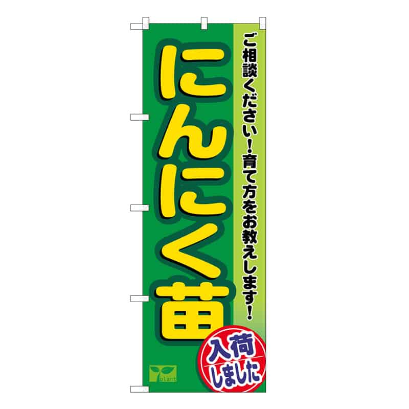P・O・Pプロダクツ のぼり にんにく苗入荷しました 58964 1枚（ご注文単位1枚）【直送品】