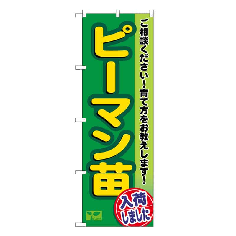 P・O・Pプロダクツ のぼり ピーマン苗入荷しました 58965 1枚（ご注文単位1枚）【直送品】