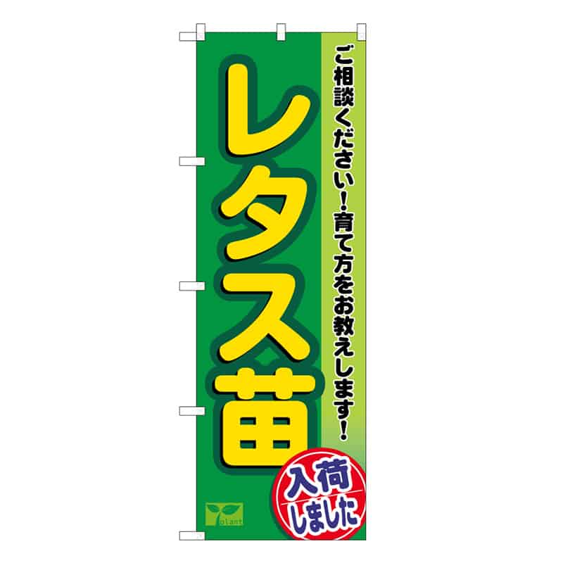 P・O・Pプロダクツ のぼり レタス苗入荷しました 58966 1枚（ご注文単位1枚）【直送品】
