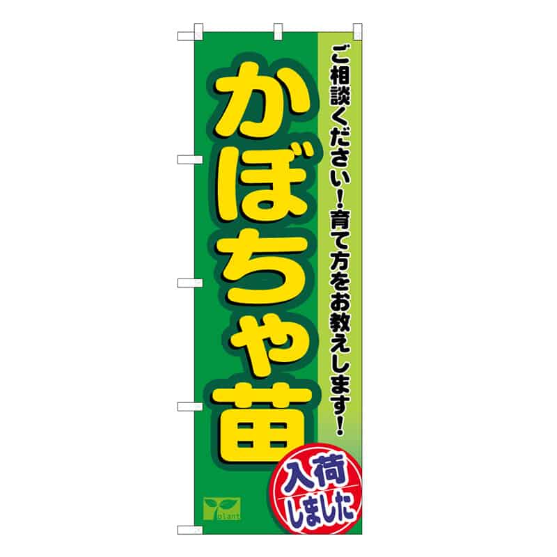 P・O・Pプロダクツ のぼり かぼちゃ苗入荷しました 58967 1枚（ご注文単位1枚）【直送品】
