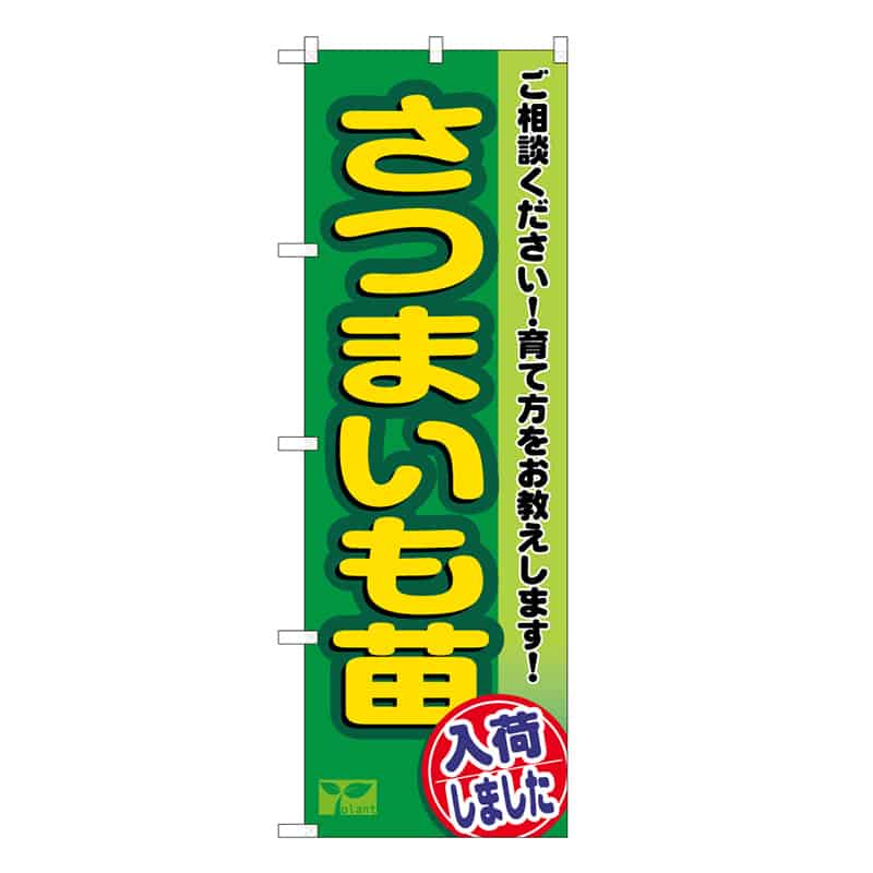 P・O・Pプロダクツ のぼり さつまいも苗入荷しました 58968 1枚（ご注文単位1枚）【直送品】