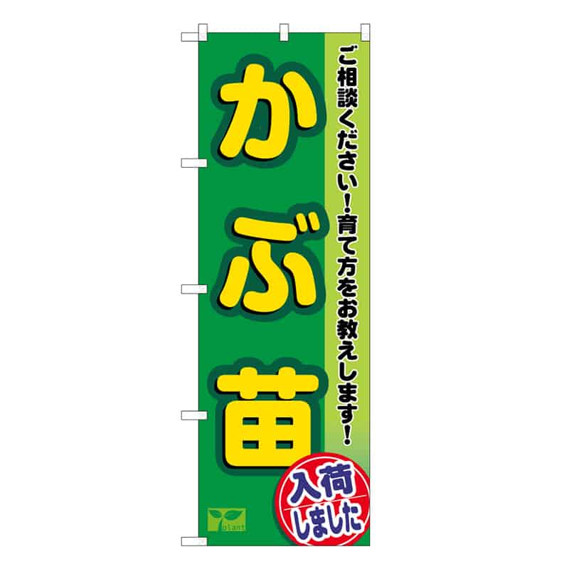 P・O・Pプロダクツ のぼり かぶ苗入荷しました 58970 1枚（ご注文単位1枚）【直送品】