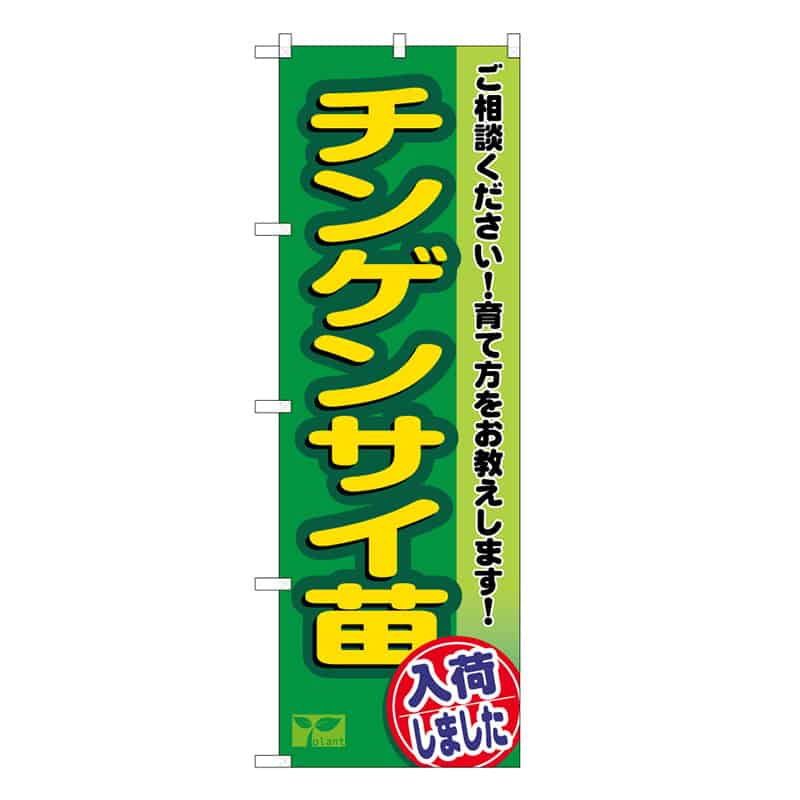 P・O・Pプロダクツ のぼり チンゲンサイ苗入荷しました 58974 1枚（ご注文単位1枚）【直送品】