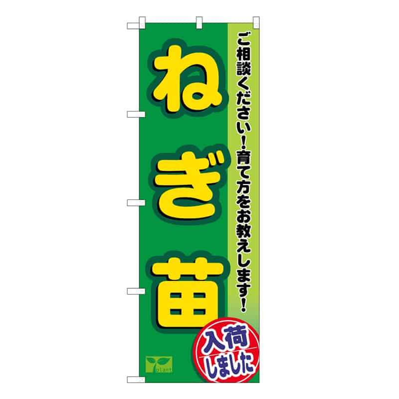 P・O・Pプロダクツ のぼり ねぎ苗入荷しました 58975 1枚（ご注文単位1枚）【直送品】